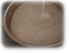餅米を洗う